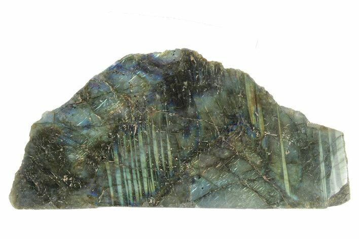 Single Side Polished Labradorite Section - Madagascar #230266